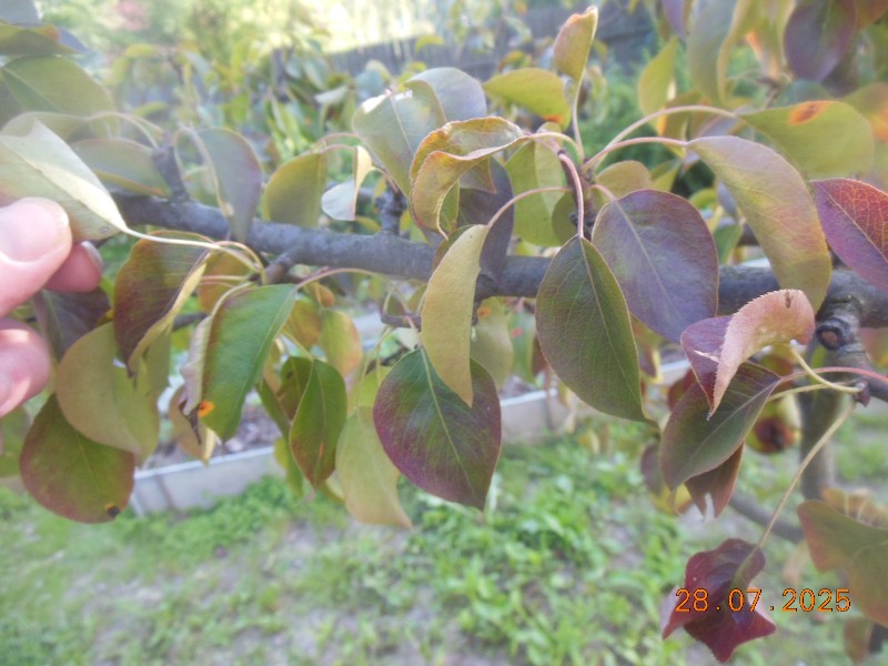 DSCN1624.JPG