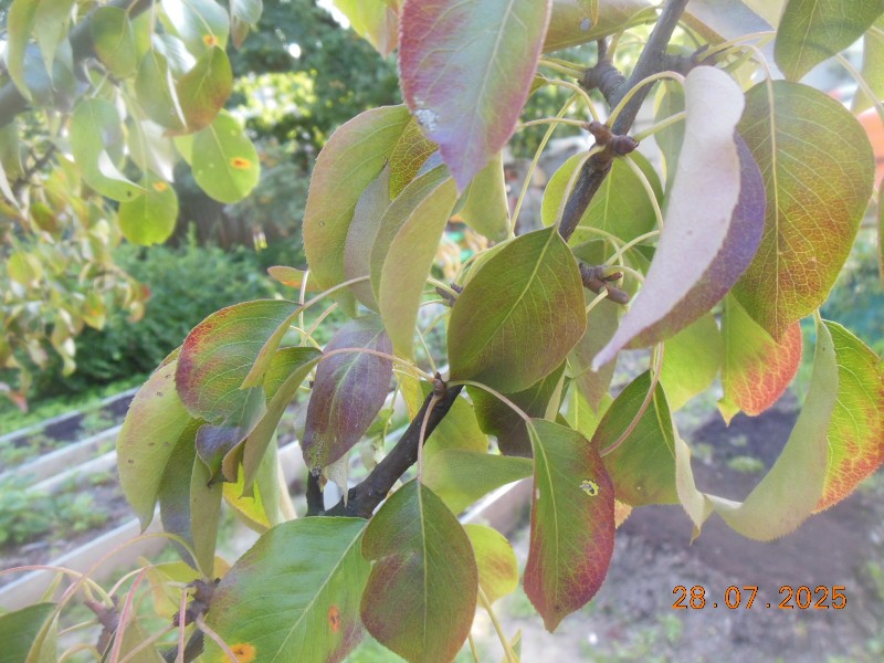DSCN1625.JPG