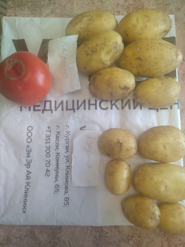 Как говориться: найдите десять отличий.