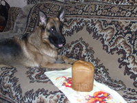 DSCF6278.JPG