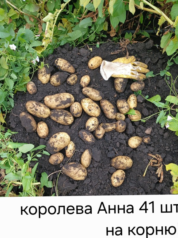 20250809_111019.jpg