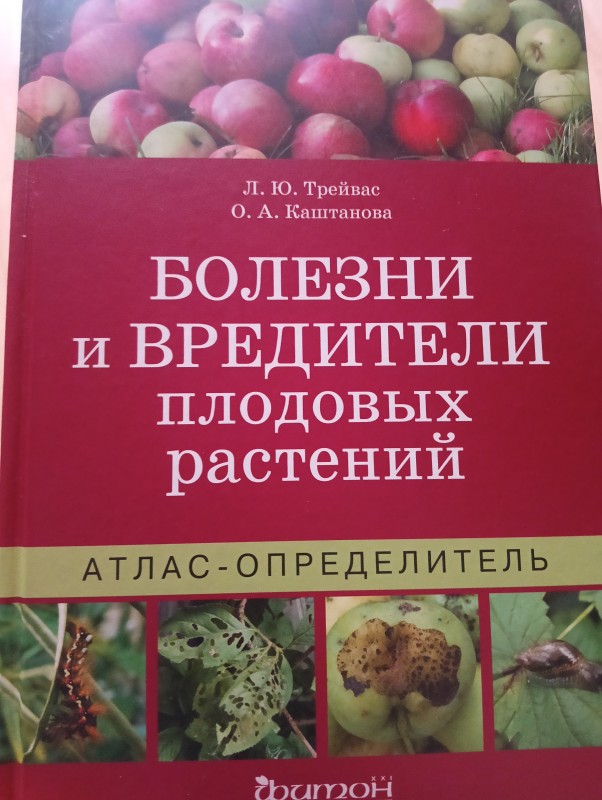 IMG20250819082053.jpg