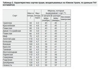 Талица ЮНИИПОК.jpg