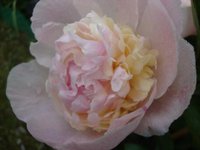 DSC01209.JPG