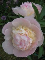 DSC01208.JPG