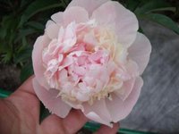 DSC00702.JPG