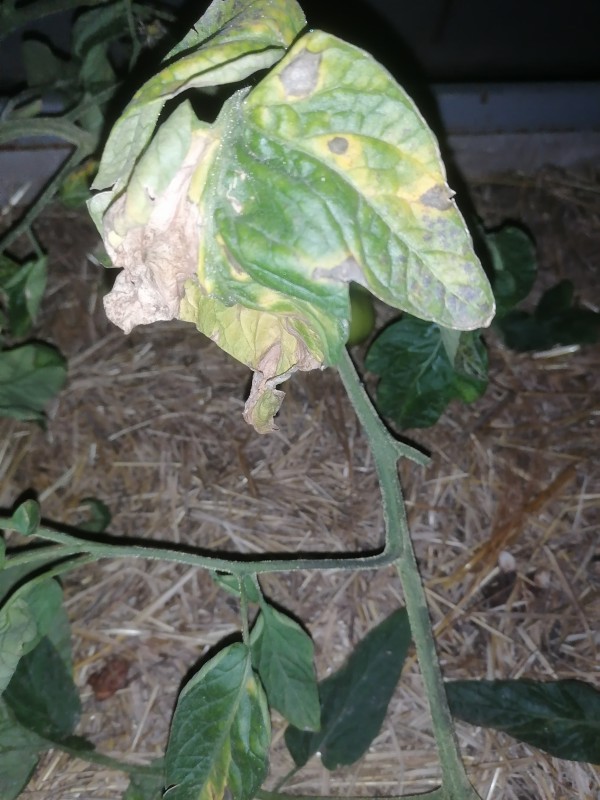 IMG_20250919_202843.jpg