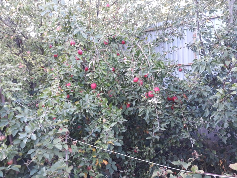 20250920_172032.jpg