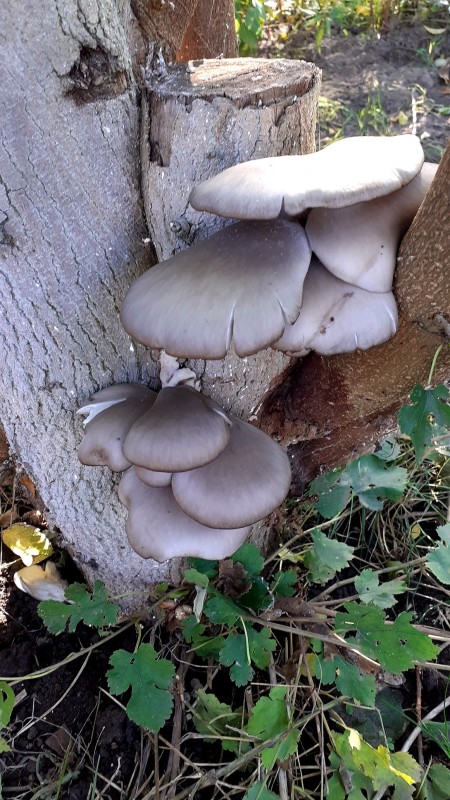 20250923_151418.jpg