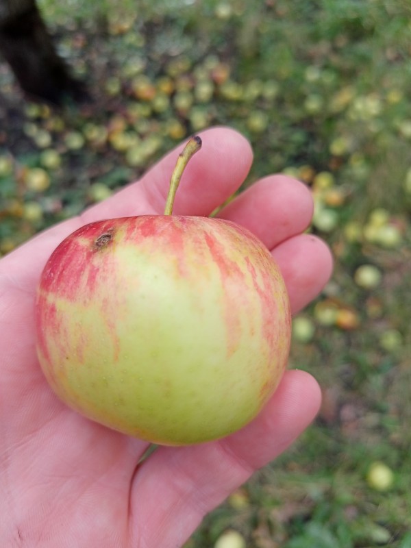 IMG20250928113119.jpg