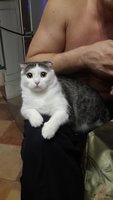 20141218_072153.jpg