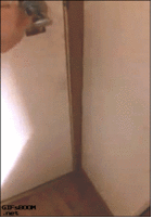 137828_original.gif