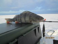 Resize of IMG_0978.JPG