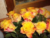 DSC01188.JPG