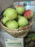 Кокинская.jpg