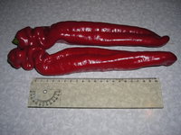 DSCN7530.JPG