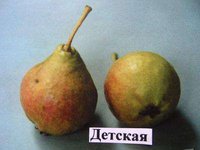 детская эко сад заказать.jpg