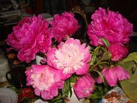 DSC01196.JPG