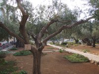 DSCF6821.JPG