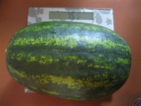 image37.jpg