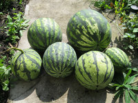 image35.jpg
