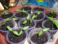 DSCN7615.JPG