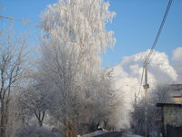 DSCN7593.JPG