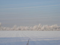 DSCN7595.JPG