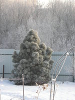 DSCN7583.JPG