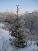 DSCN7561.JPG