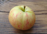 DSC03137.jpg