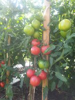 20140726_113122.jpg