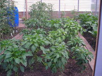 DSCN5540.JPG