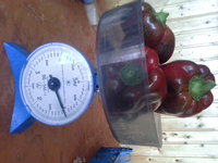 20140914_174329.jpg