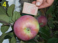 DSCN8344.jpg