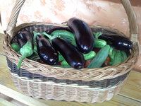 20140724_105123.jpg
