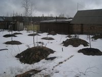 IMG_3976.jpg