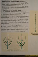 P1180671.JPG