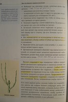 P1180673.JPG