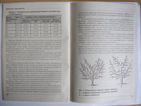 STA43541.JPG