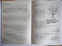 STA43542.JPG