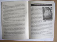 STA43543.JPG