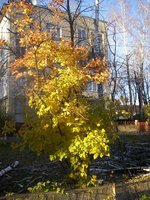 P1010816.JPG