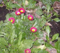 P1010817.JPG
