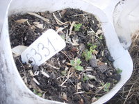 DSCN8998.JPG