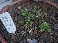 DSCN8979.JPG