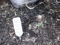 DSCN8993.JPG