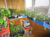 IMG_7975.JPG