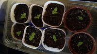 20150406_202636.jpg