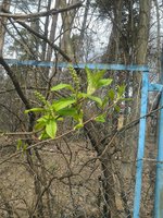 2015-04-27 12.59.28.jpg